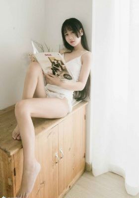 间谍过家家第一季免费观看中文